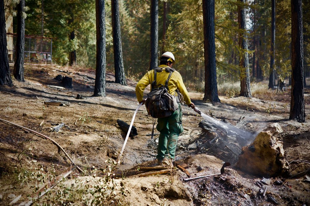 A wildland firefighter spraying the ground with water from a hose in a burned forest. 